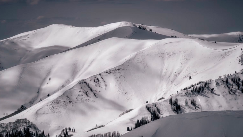 Visit Utah // Powder Cats